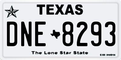 TX license plate DNE8293