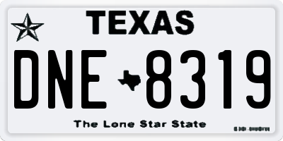 TX license plate DNE8319