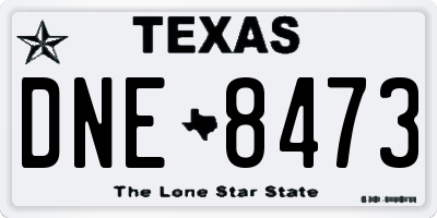 TX license plate DNE8473