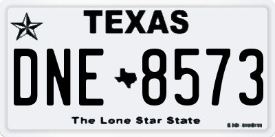 TX license plate DNE8573