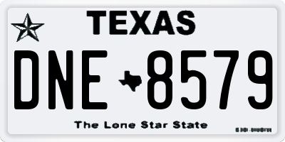 TX license plate DNE8579