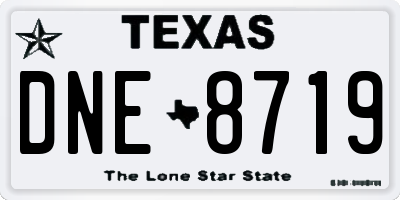 TX license plate DNE8719