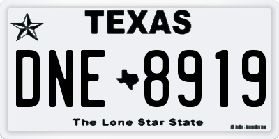 TX license plate DNE8919