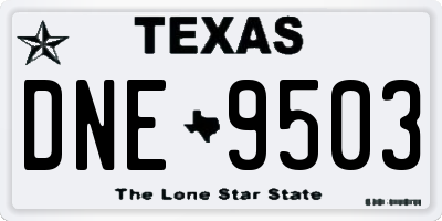TX license plate DNE9503