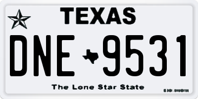 TX license plate DNE9531