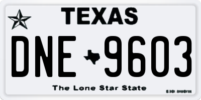 TX license plate DNE9603
