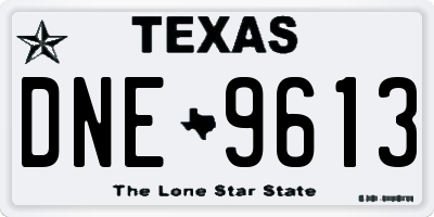 TX license plate DNE9613