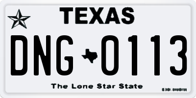 TX license plate DNG0113