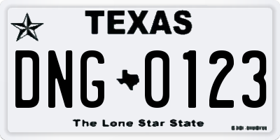 TX license plate DNG0123