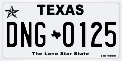 TX license plate DNG0125