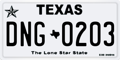 TX license plate DNG0203