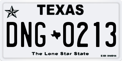 TX license plate DNG0213