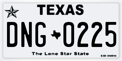 TX license plate DNG0225
