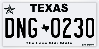 TX license plate DNG0230