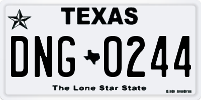 TX license plate DNG0244