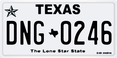 TX license plate DNG0246