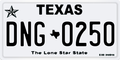 TX license plate DNG0250