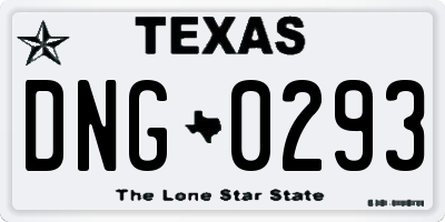 TX license plate DNG0293