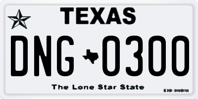TX license plate DNG0300