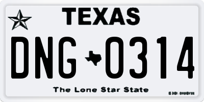 TX license plate DNG0314