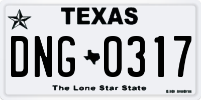 TX license plate DNG0317