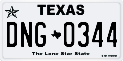 TX license plate DNG0344