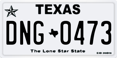 TX license plate DNG0473