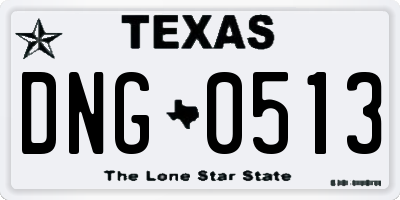 TX license plate DNG0513