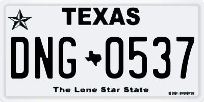 TX license plate DNG0537