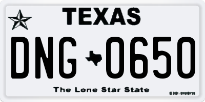 TX license plate DNG0650