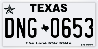 TX license plate DNG0653