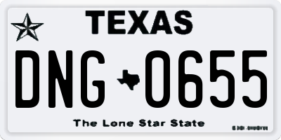 TX license plate DNG0655