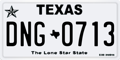 TX license plate DNG0713