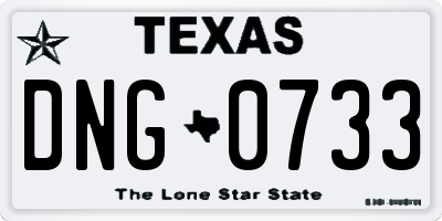 TX license plate DNG0733