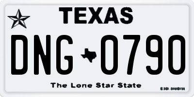 TX license plate DNG0790