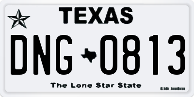 TX license plate DNG0813