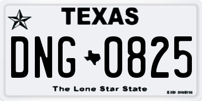 TX license plate DNG0825