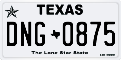 TX license plate DNG0875