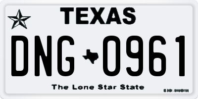TX license plate DNG0961