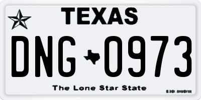 TX license plate DNG0973