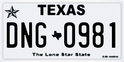 TX license plate DNG0981