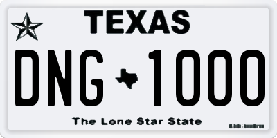 TX license plate DNG1000