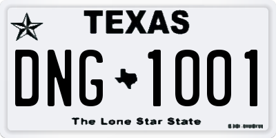 TX license plate DNG1001