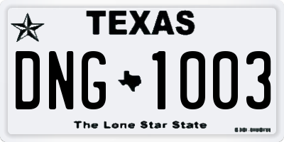 TX license plate DNG1003