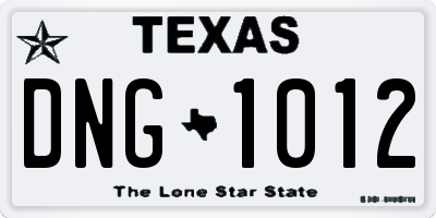 TX license plate DNG1012