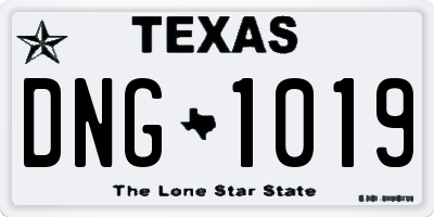 TX license plate DNG1019