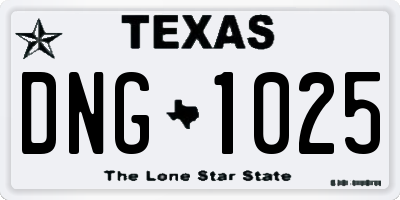 TX license plate DNG1025