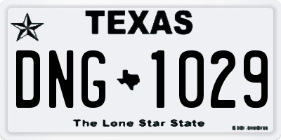 TX license plate DNG1029