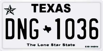 TX license plate DNG1036