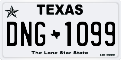 TX license plate DNG1099